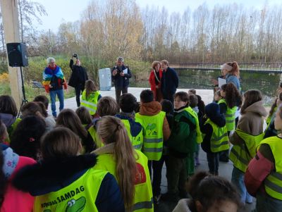 Vredeseik Kortrijk 3